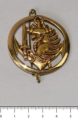 Знак беретный Морская Пехота ВМС gold